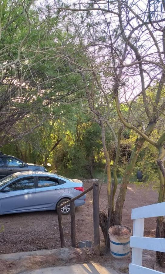 Hospedaje Rural Casa De Felix San Pedro de Atacama Dış mekan fotoğraf